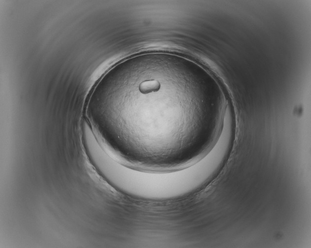 X0000111191330200907151339