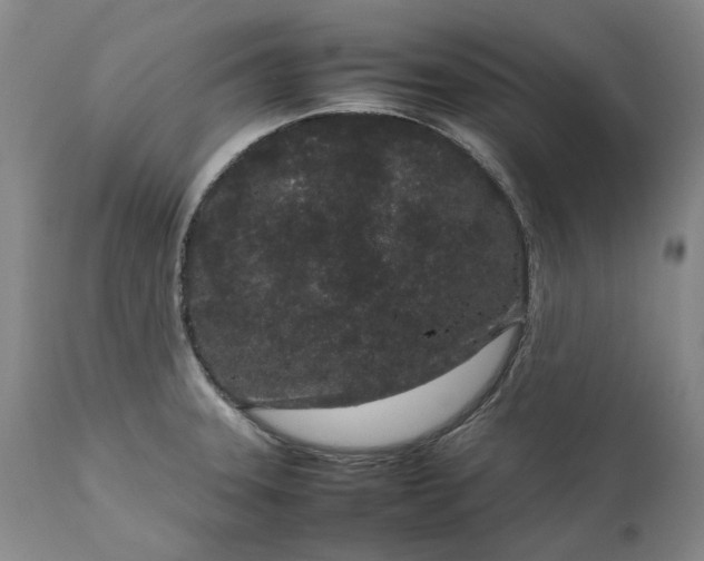 X0000111191331200907151340