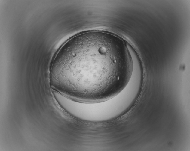 X0000111191332200907151340