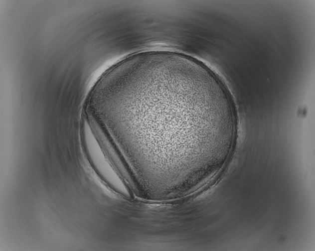 X0000111191333200907151340