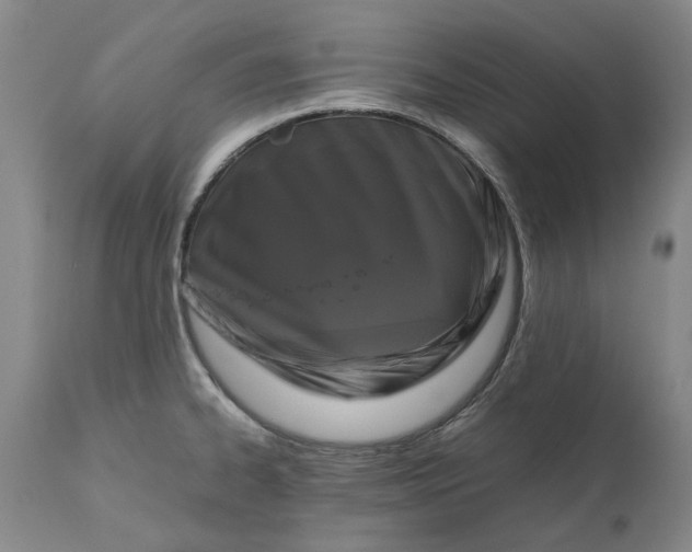 X0000111191334200907151340