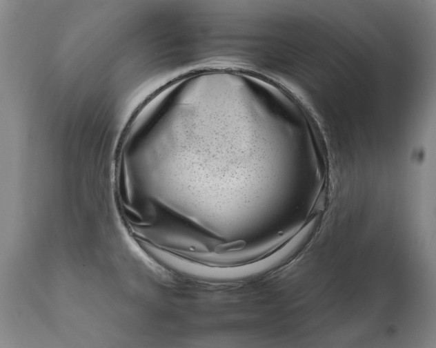 X0000111191335200907151340