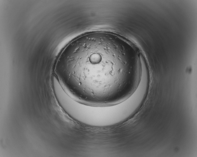 X0000111191336200907151340