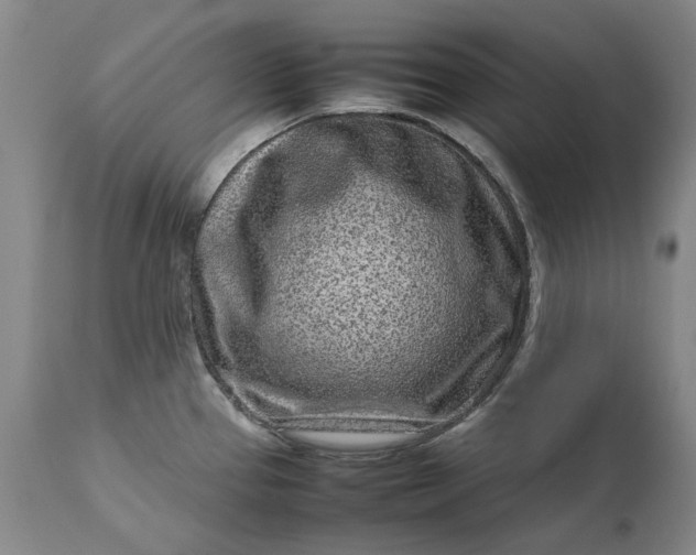 X0000111191337200907151340