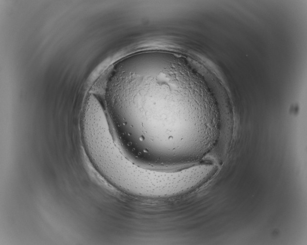 X0000111191338200907151340