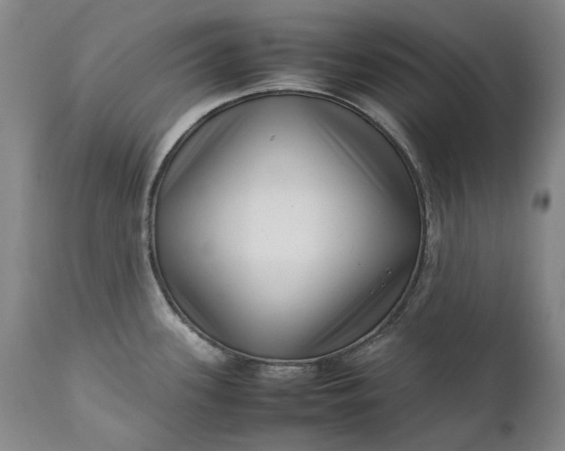 X0000111191339200907151340