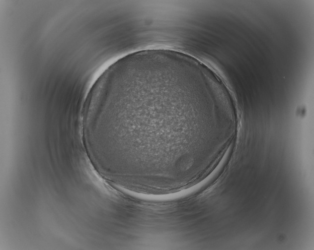 X0000111191340200907151340