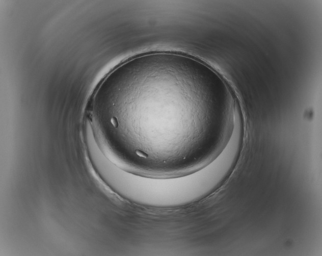 X0000111191342200907151340