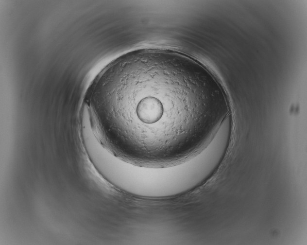 X0000111191344200907151340