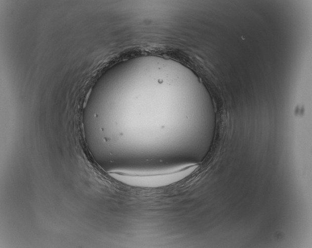 X0000111191345200907151339