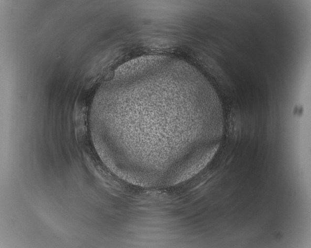 X0000111191346200907151339