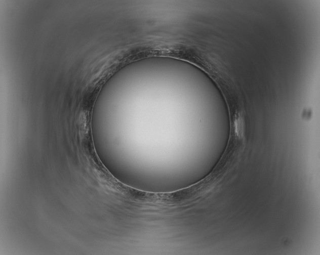 X0000111191347200907151339