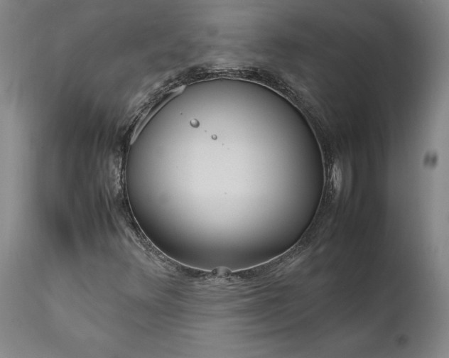 X0000111191348200907151339