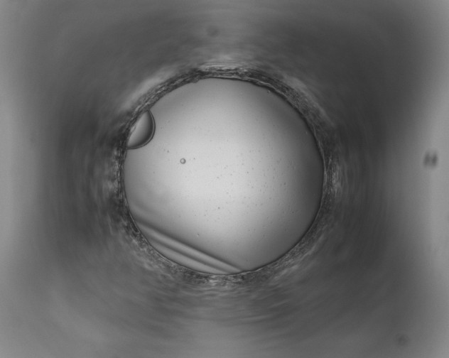 X0000111191350200907151339