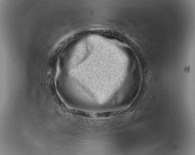 X0000111191351200907151339