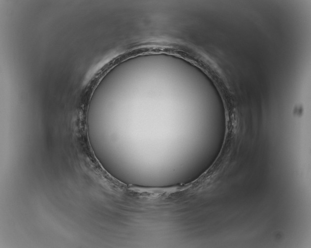 X0000111191352200907151339