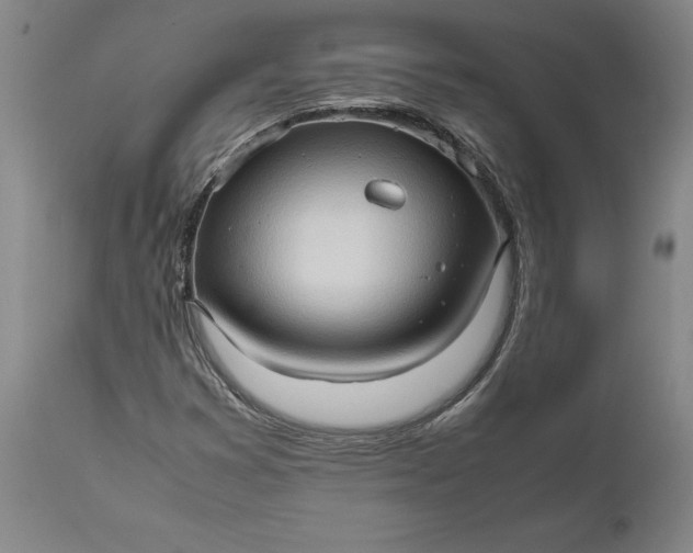 X0000111191353200907151339