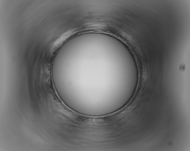 X0000111191354200907151339