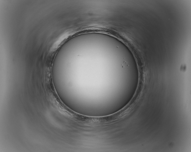 X0000111191355200907151339