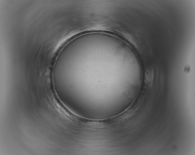 X0000111191356200907151339