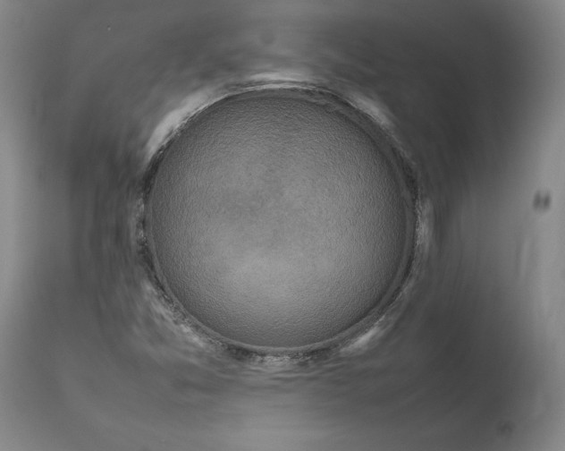 X0000111191357200907151339