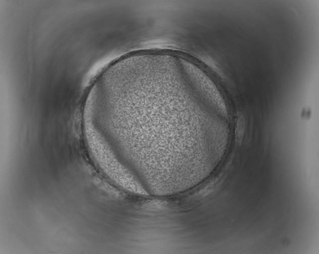 X0000111191358200907151339