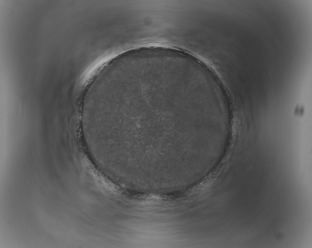 X0000111191359200907151338