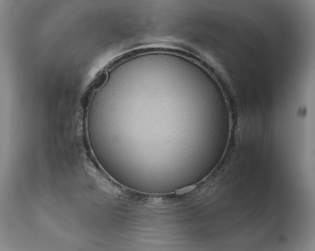 X0000111191360200907151338