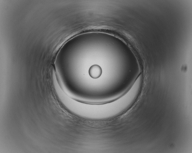 X0000111191361200907151338