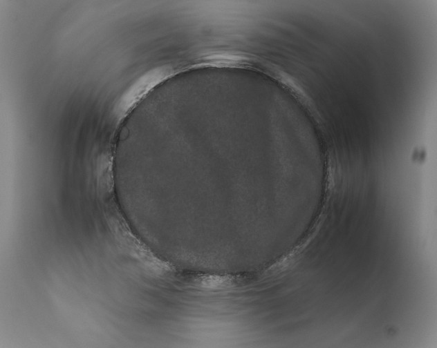 X0000111191362200907151338