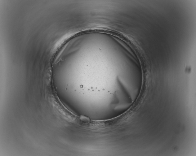 X0000111191363200907151338