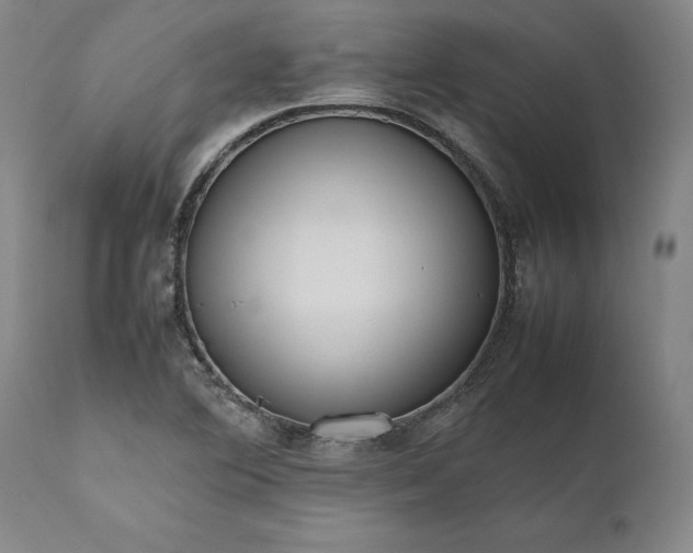 X0000111191364200907151338