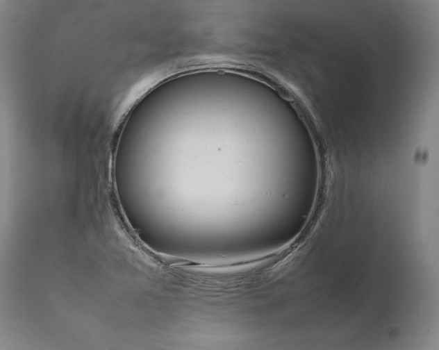 X0000111191365200907151338