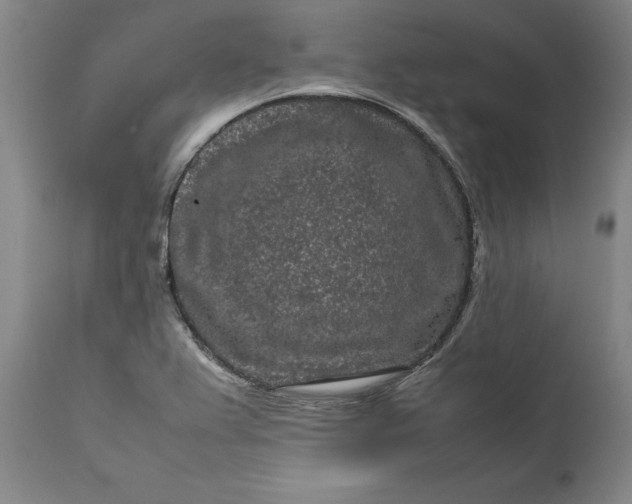 X0000111191367200907151338