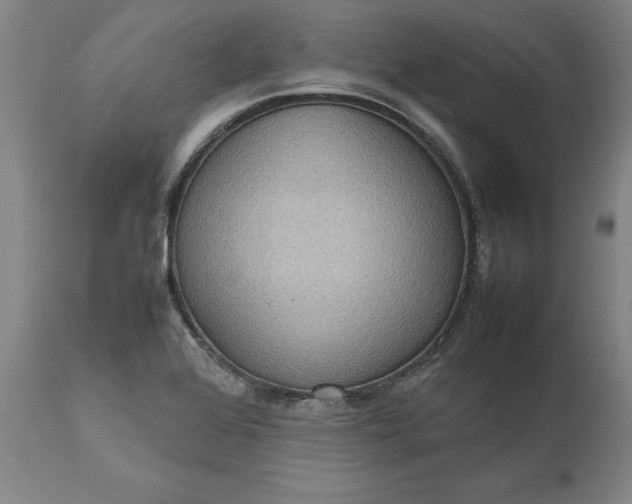 X0000111191368200907151338