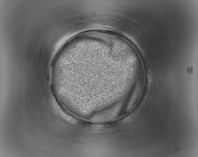 X0000111191371200907151338