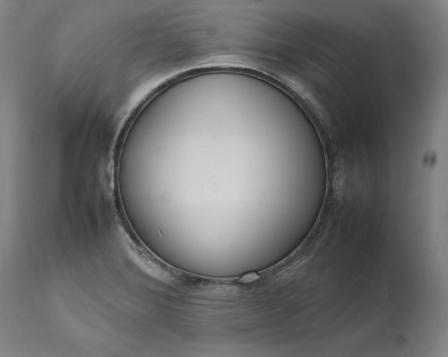 X0000111191372200907151338