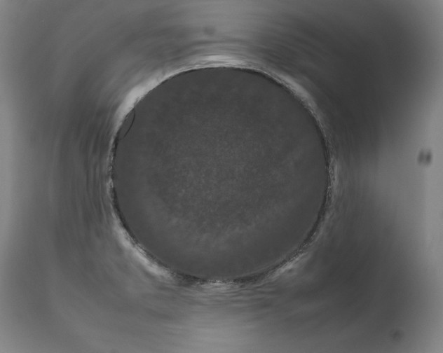 X0000111191373200907151338