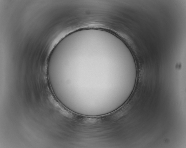 X0000111191374200907151338