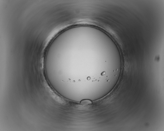 X0000111191376200907151338