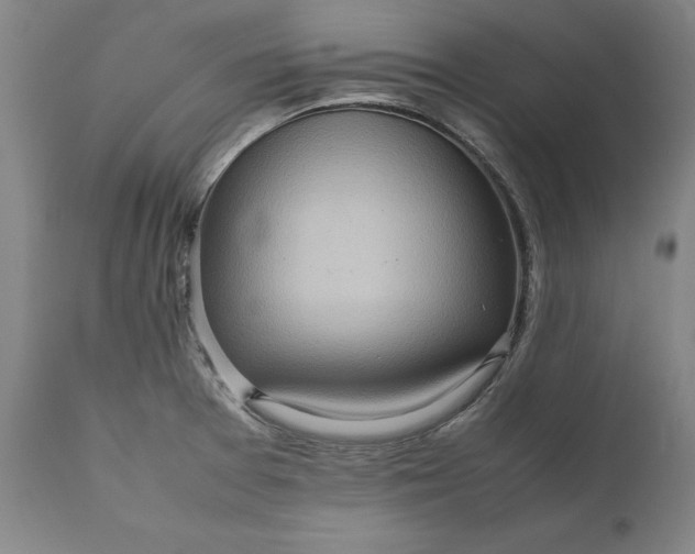 X0000111191377200907151338