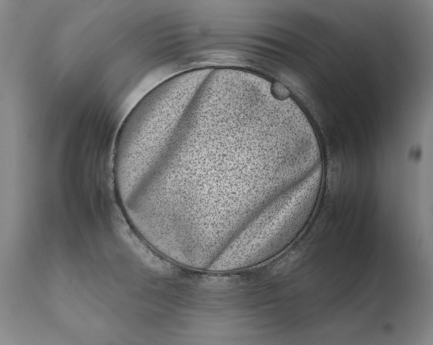 X0000111191378200907151338