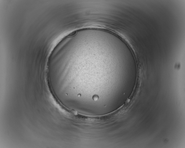 X0000111191379200907151338