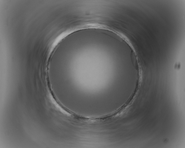 X0000111191381200907151338