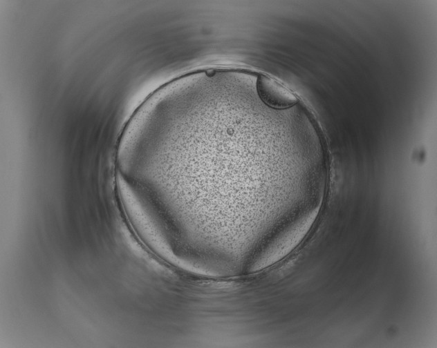 X0000111191382200907151338