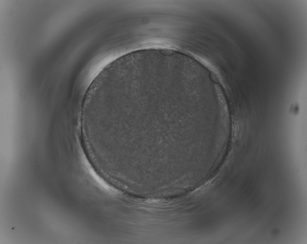 X0000111191383200907151338