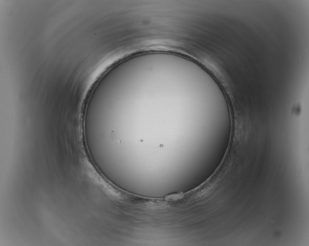 X0000111191384200907151338