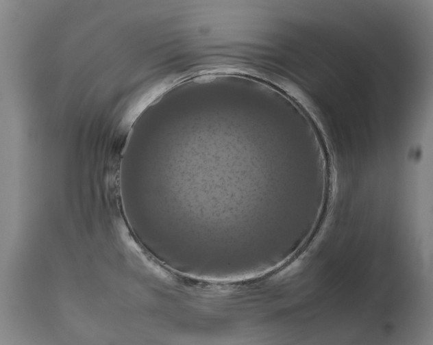 X0000111191385200907151338