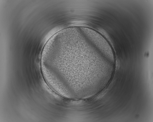 X0000111191386200907151338