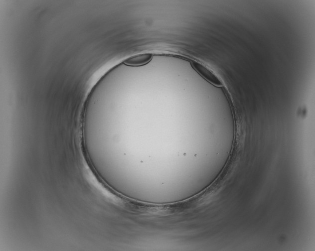 X0000111191387200907151338